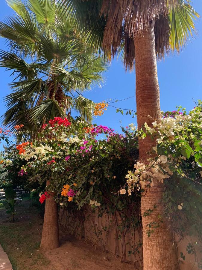 Les Terrasses Du Lac Marrakech Лала Такеркуст Екстериор снимка