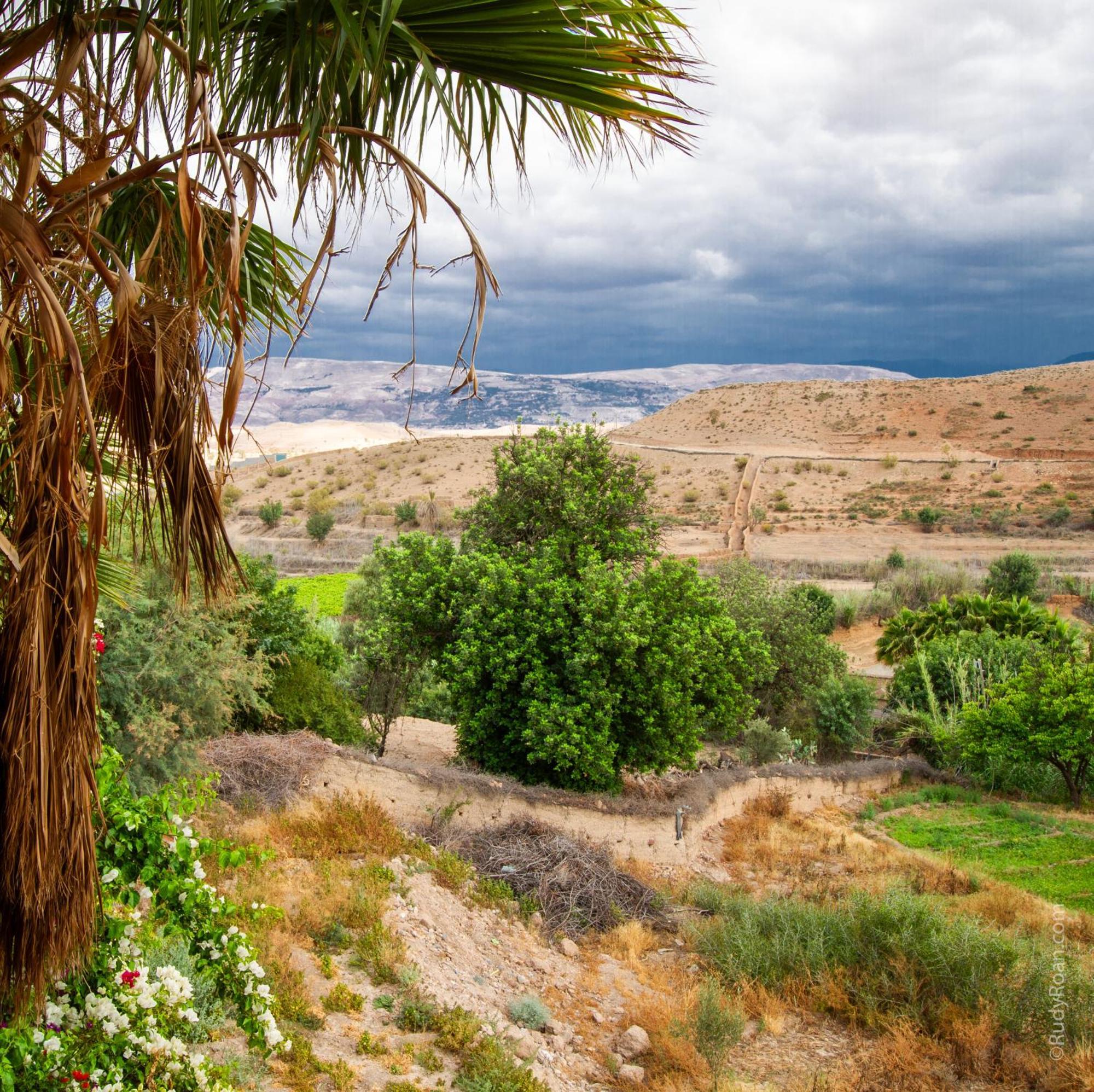 Les Terrasses Du Lac Marrakech Лала Такеркуст Екстериор снимка